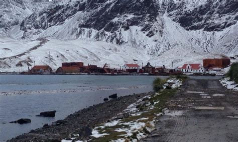 Grytviken 2021: Best of Grytviken, South Georgia Tourism - Tripadvisor