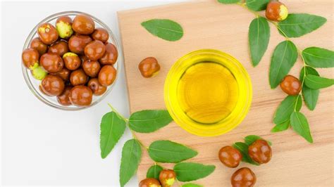 Jojoba Oil: Uses, Benefits And Risks – Forbes Health