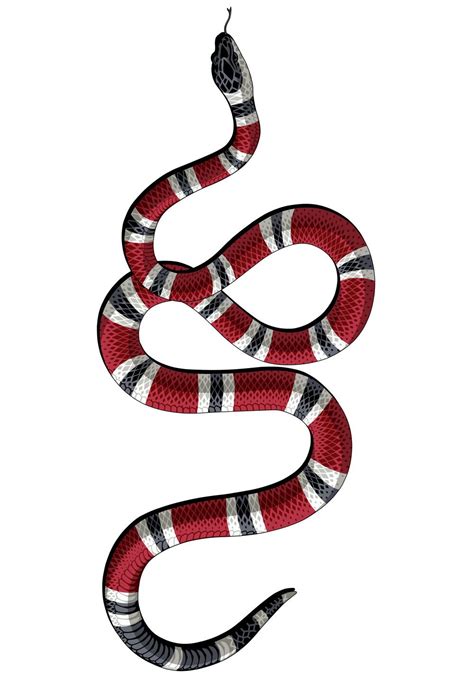 gucci snake - Recherche Google | Snake wallpaper, Gucci wallpaper iphone, Gucci tattoo