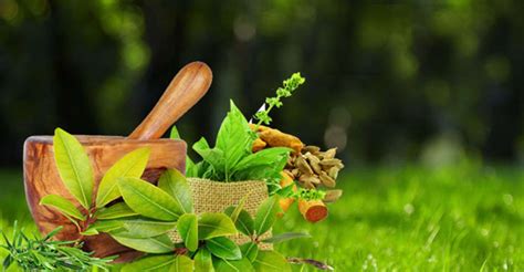 Health Consultancy - Online Ayurvedic Medicine | GoTirth