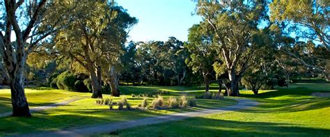 The Vines Golf Club of Reynella - Golf Course Information | Hole19