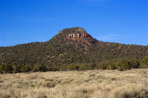 Kaibab National Forest - Things To Do, Hiking, Entrance Fee, Camping, Map