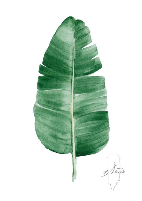 Banana leaf Print Palm Leaf Print Palm Leaf Wall Art | Etsy Art Tropical, Tropical Leaf Print ...