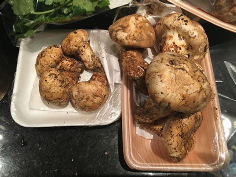 Tabemono at Home: Matsutake Takikomi with a Pressure Cooker | Tabemono Journey