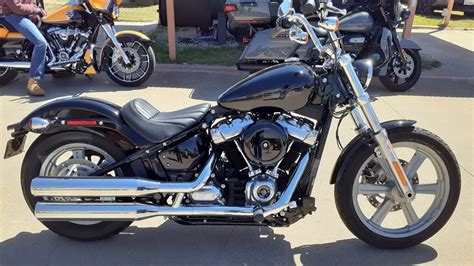 2024 Harley Softail Standard - Cammi Corinna