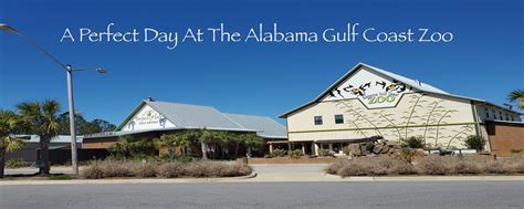 A Perfect Day At The Alabama Gulf Coast Zoo Includes Holding A Baby ...