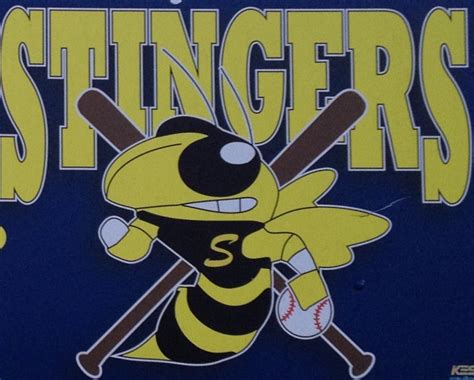 5B'S Stingers 13U