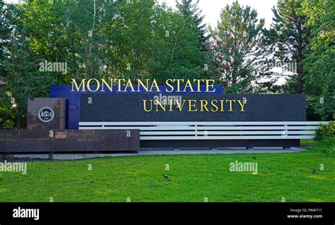 View of the campus of Montana State University in Bozeman, home of the Bobcats. MSU is an ...