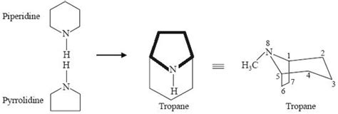 Tropane alkaloid - Alchetron, The Free Social Encyclopedia