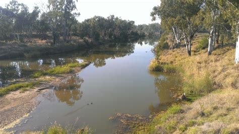 Maranoa River – Queensland Stories