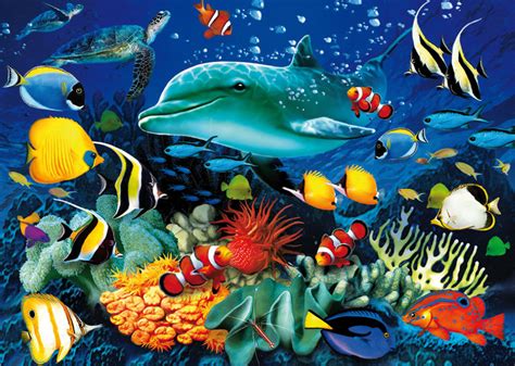 3D Dolphin Reef 3D Puzzle | PuzzleWarehouse.com