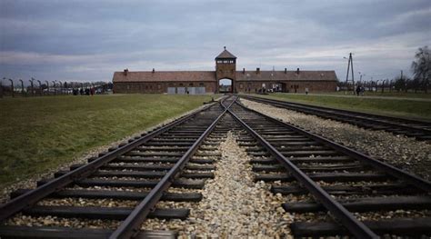 Auschwitz survivors mark anniversary online amid pandemic | World News ...