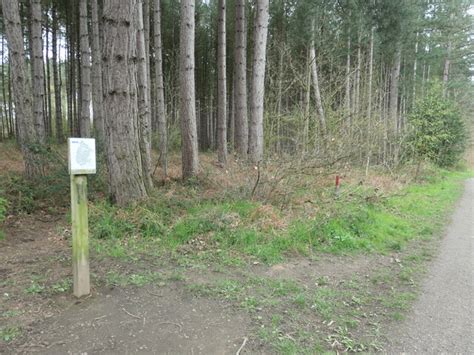 Location map, Haw Park Wood © Christine Johnstone :: Geograph Britain and Ireland