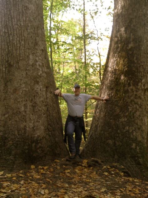 Hike the Joyce Kilmer Memorial Forest | Backroad Planet