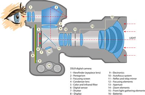 Parts Of A Digital Camera And Their Functions