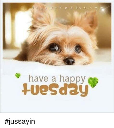 Tuesday Memes - Funny Happy Tuesday Pictures