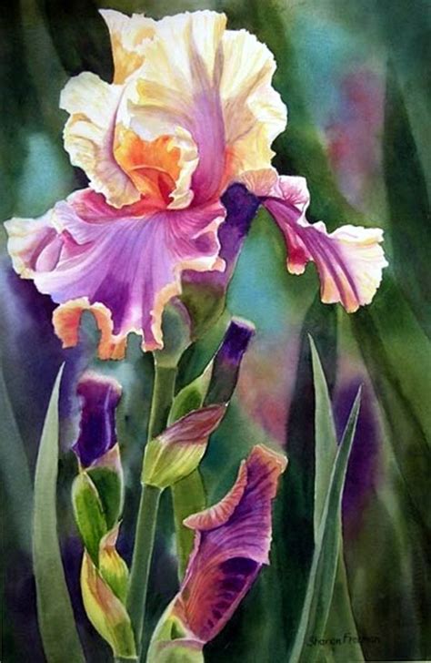 840 best "I Love Bearded Iris" images on Pinterest | China painting ...