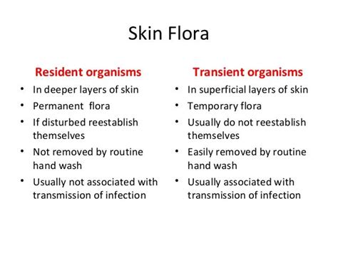 Hand Hygiene - Prac. Microbiology