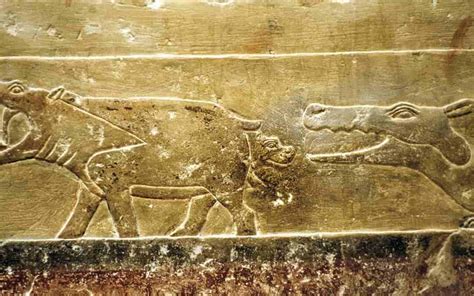 Crocodiles in ancient Egypt: Feared and revered