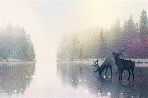 Enchanting Aesthetic Images | Free Photos, PNG Stickers, Wallpapers & Backgrounds - rawpixel