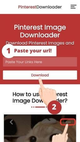 Pinterest Image Downloader - Download Pinterest Images & Gif