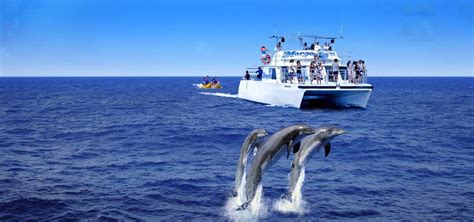 Dolphin Watching in Guam, a once in a lifetime experience - Days Inn ...