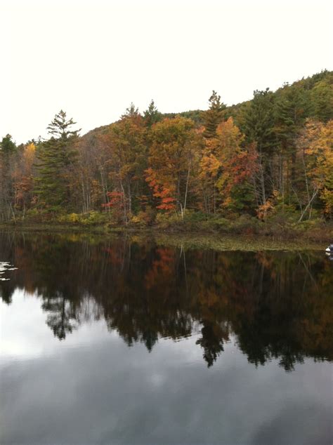 a body of water surrounded by trees with autumn foliage on the shore and in the background