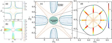 Phase diagrams for pattern formation in the NRCH model. The spinodal ...