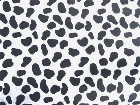 🔥 [40+] Dalmatian Spots Wallpapers | WallpaperSafari