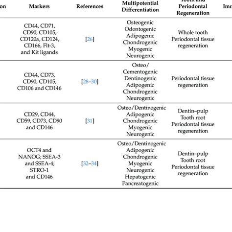 Specific markers expressed from the mesenchymal stem cells, their ...