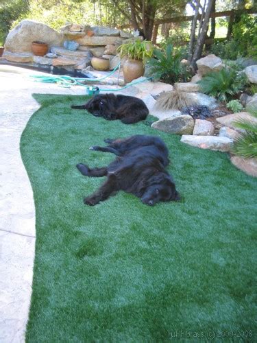 Artificial Turf for Dogs - a great solution for your pups!