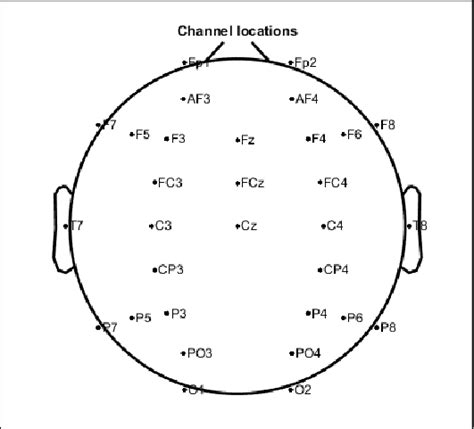 The EEG montage of the recordings used in this study. | Download Scientific Diagram