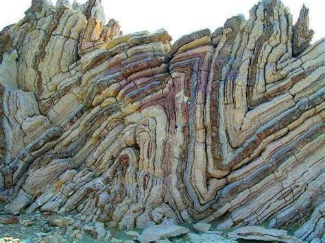 Syncline and anticline folds | Geology rocks, Earth science, Geology