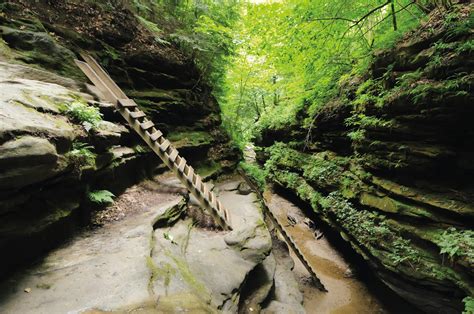 Turkey Run State Park - Go Wandering