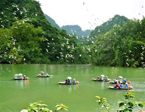 Thung Nham Bird Park: Discover The Land of A Thousand Birds | Vietnam Times