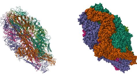 Cryo Electron Microscopy: Principle, Strengths, Limitations and Applications | Technology Networks