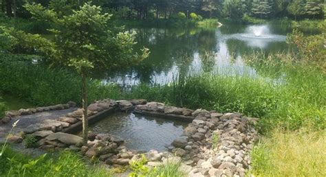 Why Pond Filtration is So Important - Pond Cleaning Maintenance Supplies Products