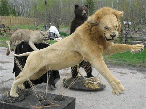 30 Bad Taxidermy Pictures That Are Both Terrifying And Hilarious