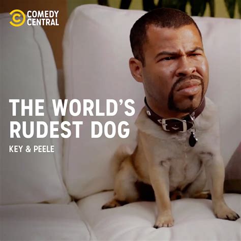 The World's Rudest Dog | Key & Peele | puppy, dog | Puppy play date ...