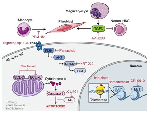 Cells | Free Full-Text | Next Generation Therapeutics for the Treatment ...