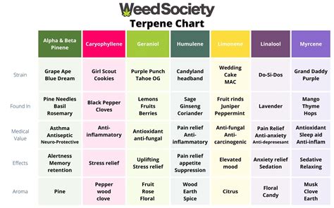 Beginners Guide: Good Weed Vs. Bad Weed | WeedSociety