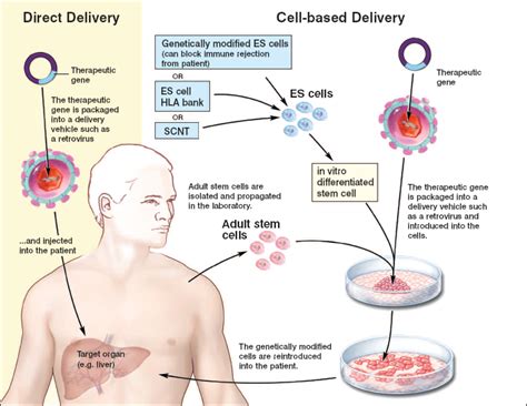 Stem Cell - Medicare