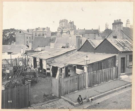 Stables at rear of No 42 Francis St,Glebe in inner Sydney in 1900. 🌹 ...