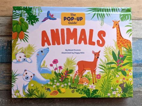 Animal Pop Up Book for Children - Mama Likes This