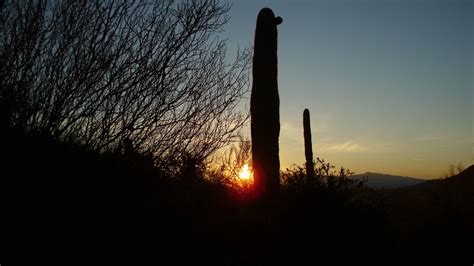 Tucson Sunrise 2012 Free Stock Photo - Public Domain Pictures