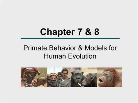 Chapter 6 Primate Behavior