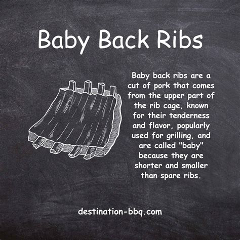 Baby Back Ribs Explained - Destination BBQ