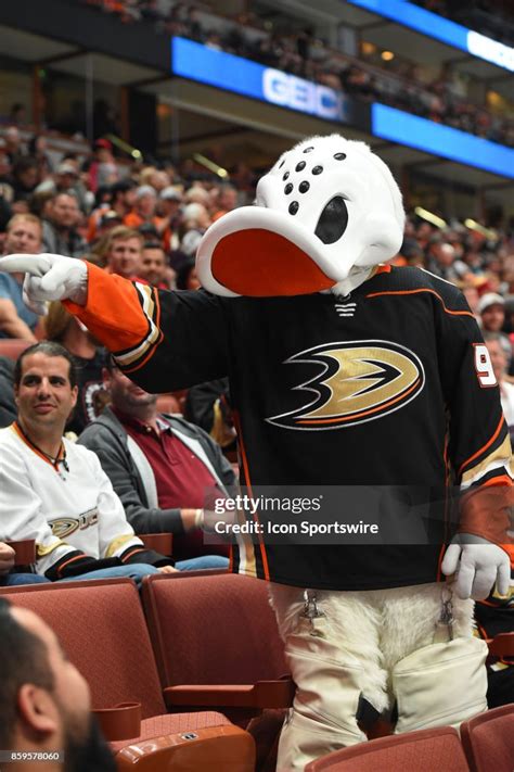 Anaheim Ducks mascot Wild Wing rallies the crowd during an NHL game ...