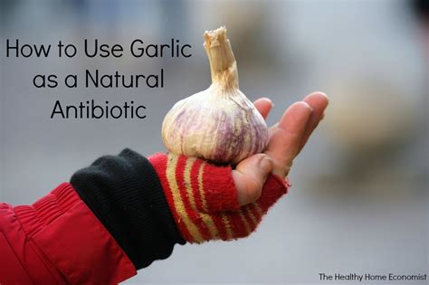 How to Harness the Power of Garlic Medicinally | Healthy Home Economist