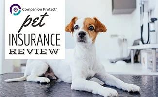 Companion Protect Pet Insurance Reviews